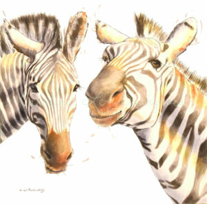Zebras high res