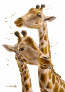 two giraffes artwork